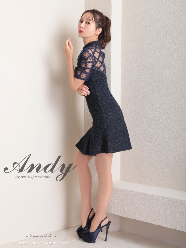 キャバドレス ミニドレス Andy アンディ レース フロントジップデザイン ツイード プリーツ 半袖 フレアミニドレスの全身サイド画像