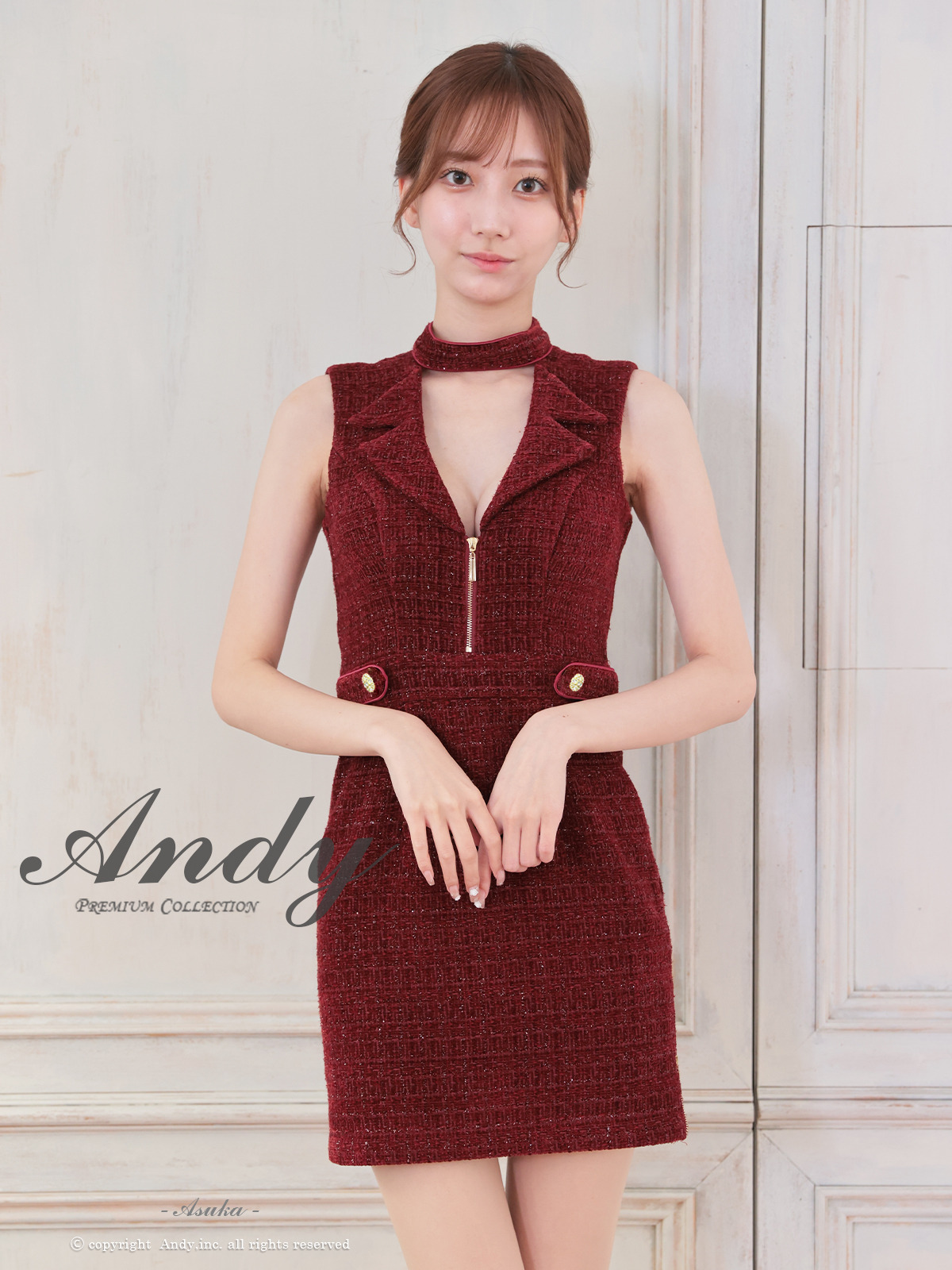 長袖 ノースリーブ ジップデザイン ツイード 襟付き 飾りボタン Vカット 2WAY タイトミニドレスの全身バック画像3