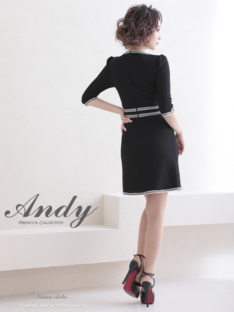 袖あり パイピング ポケット ボタン バイカラー フレアニドレスの詳細画像3