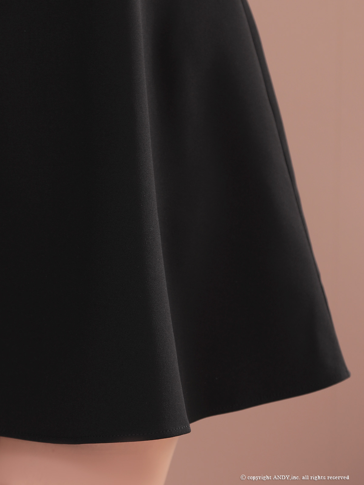  ボリュームフラワー ビジュー ジップデザイン ノースリーブ フレアミニドレスの詳細画像1