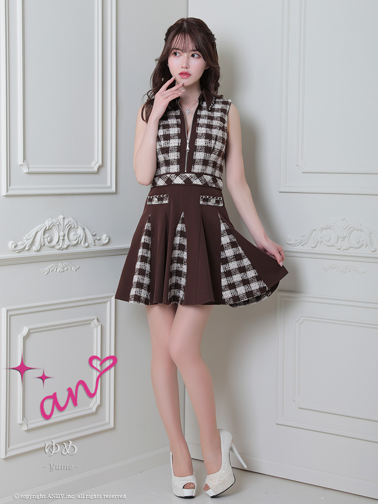 ノースリーブ ジップデザイン チェック柄 襟付き プリーツ フレアミニドレスの全身フロント画像1