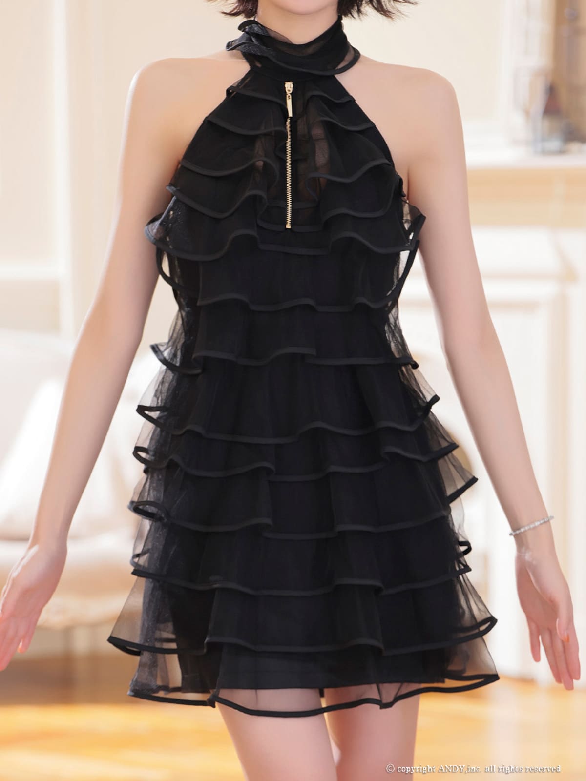 ホルターネック ジップデザイン チュール ティアード フリル フレアミニドレスの詳細画像1