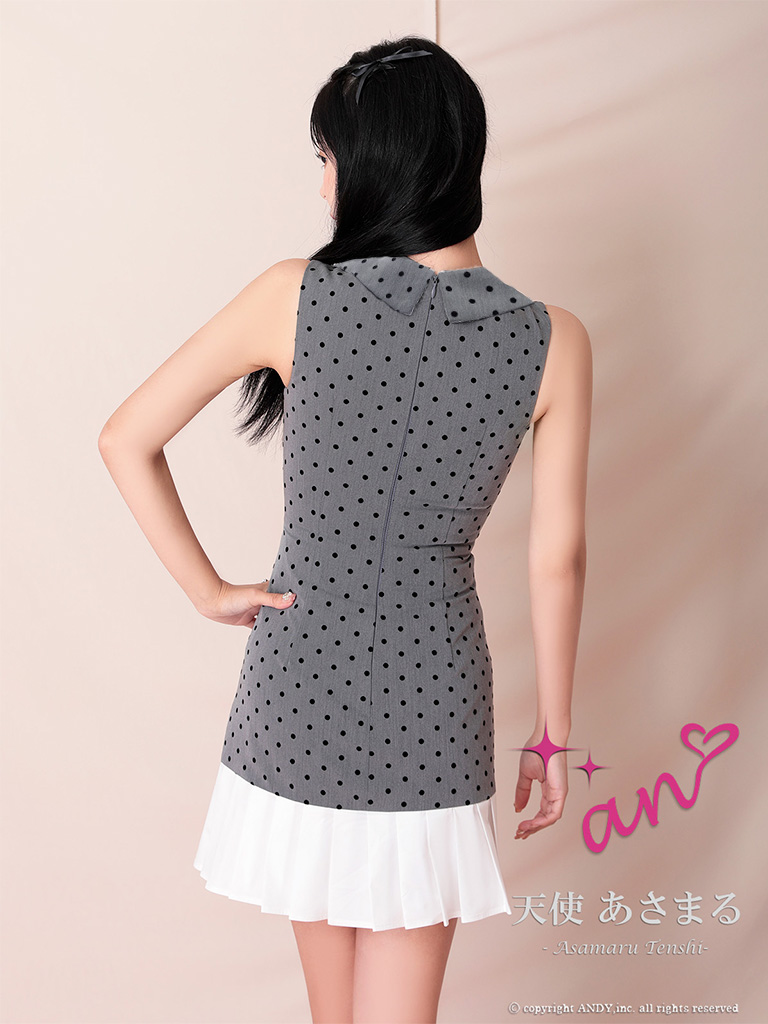 ノースリーブ ジップデザイン ドット柄 プリーツ 襟付き Vネック フレアミニドレスの全身バック画像1