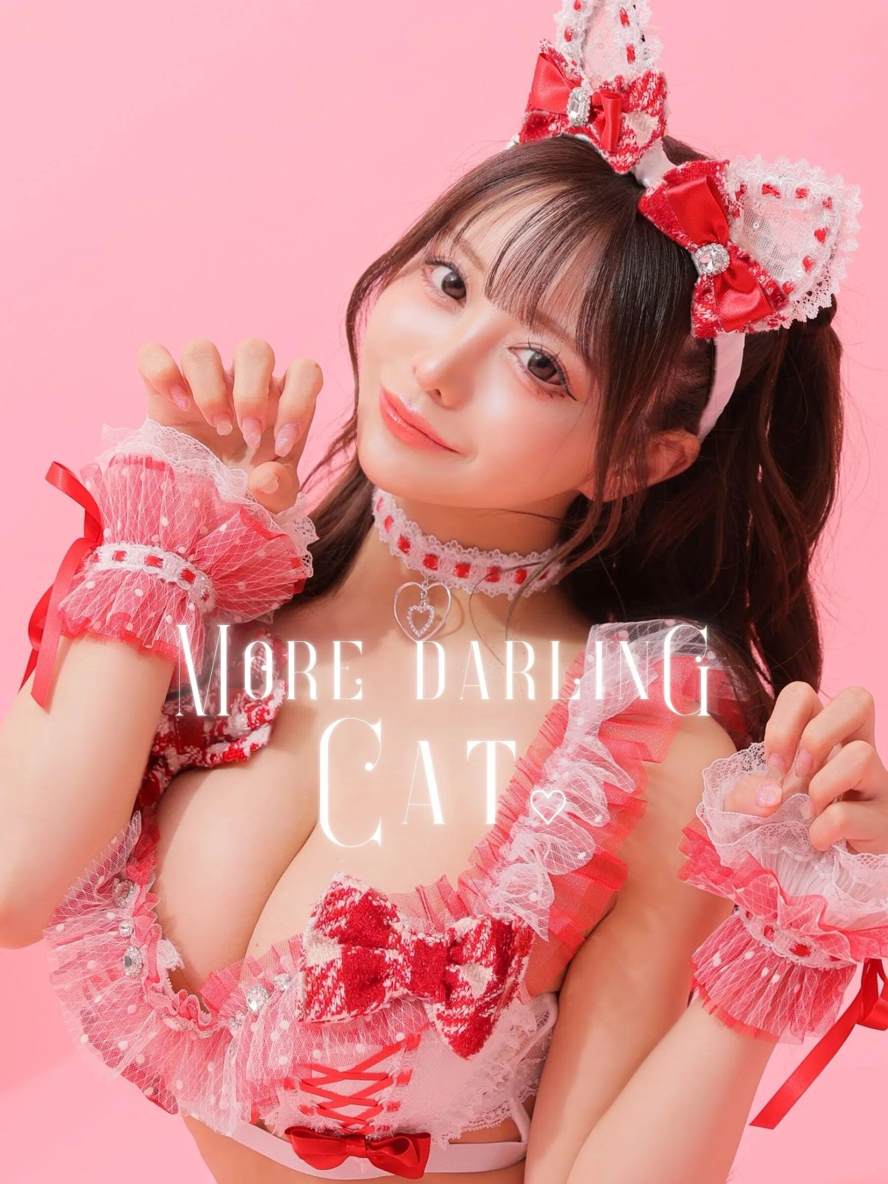 猫 フリル リボン チェック柄 ドット柄 ガーリー ツイード ランジェリー 6点セットのイメージ画像1