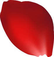 花びら