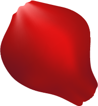 花びら