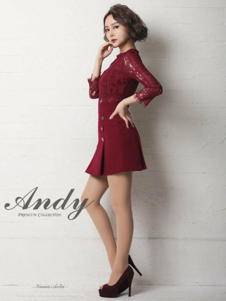 キャバドレス ミニ ドレス ANDY アンディ 刺繍 フラワー レース ゴールド ボタン 切り替え 袖あり プリーツ フレアミニドレス