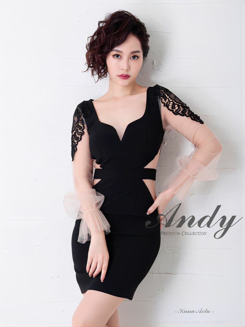 SALE【Andy/アンディ】サイドシースルー ワンカラーチュール 袖あり 