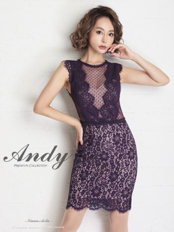 Andy[アンディ]刺繍レース×ドットレース 切り替えノースリーブスリーブ ミニドレス[2670]