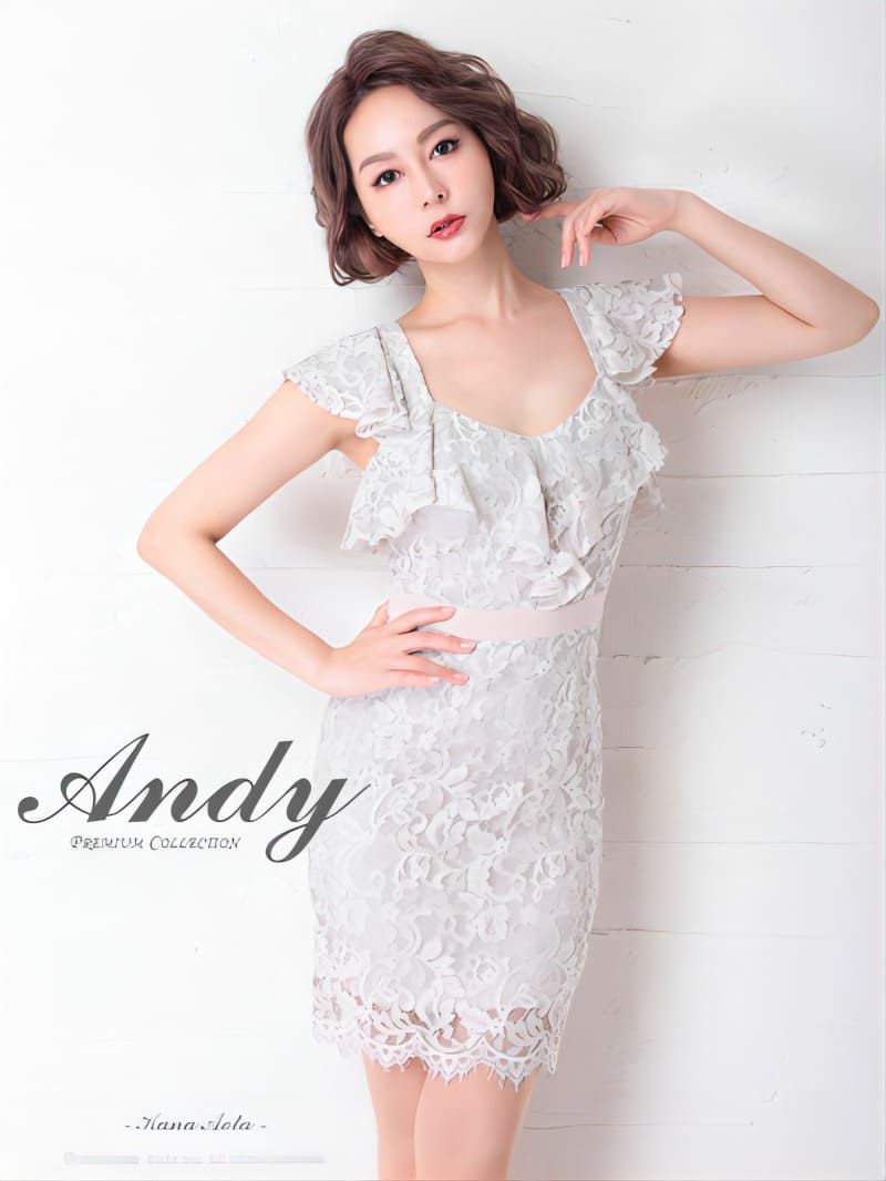 SALE【Andy/アンディ】フラワーレースバックリボン タイトミニドレス 