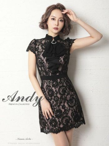 ネット通販で購入 Andy by LiLLion レースドレス黒 - スーツ