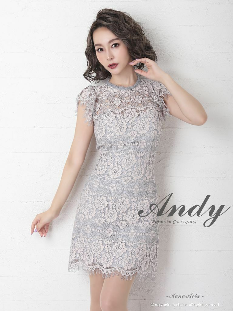 Andy/アンディ】ハイネック シースルー フラワーレース ワンカラー  