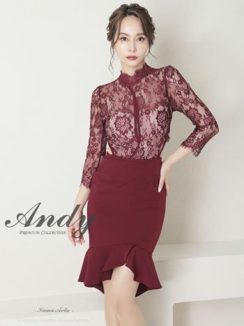 【おもちさん専用】ANDYドレス・バーガンディ レースドレス 長袖 Andy/アンディ】 セクシー 透け感 レース 袖あり フレアミニ