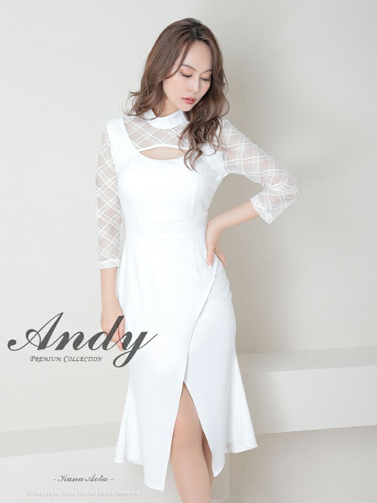 Andy/アンディ】シアー チェック柄 ハイネック 袖あり スリット ワン  