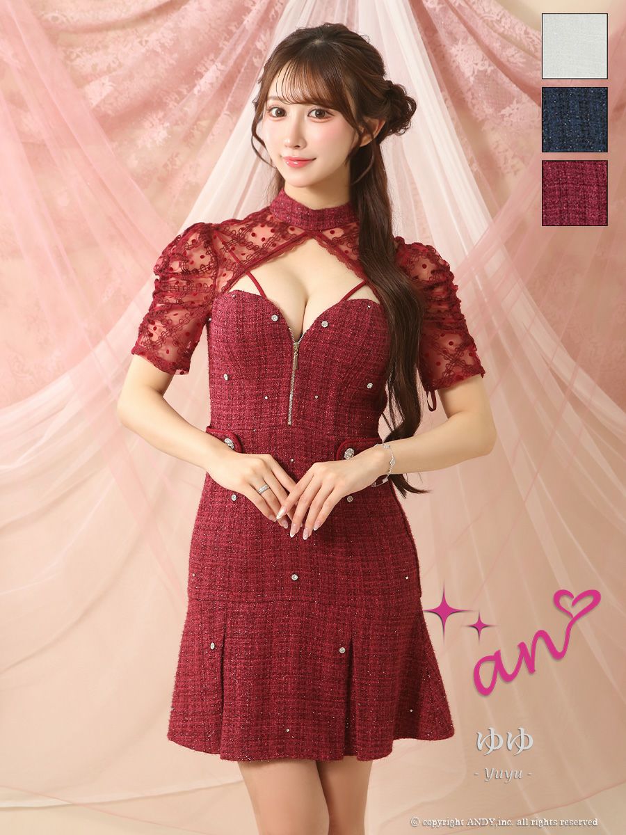 キャバドレス an ジップデザイン 半袖 ツイード バストカット シースルー レース ビジュー プリーツ フレアミニドレス